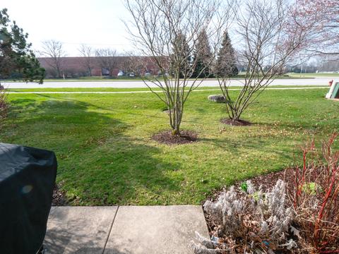 2393 Reflections Dr, Aurora, IL 60502 photo 38