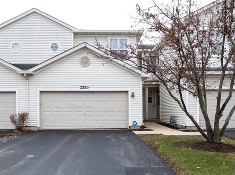 2393 Reflections Dr, Aurora, IL 60502 photo 1