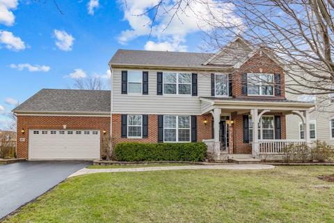 307 Buffalo Dr, Elgin, IL 60124 photo 1
