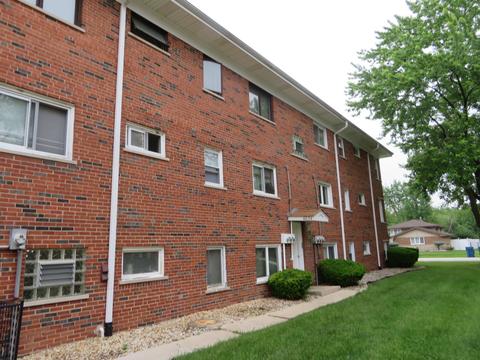 6834 W Lode Dr #2A, Worth, IL 60482 photo 18