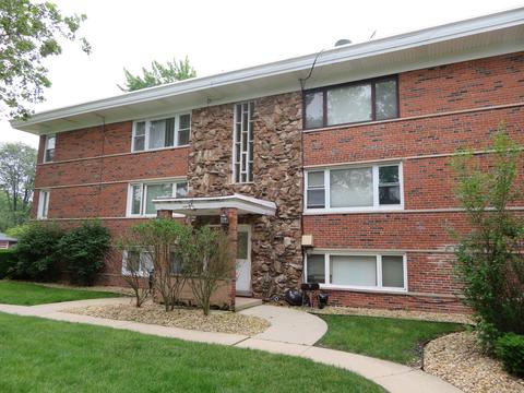 6834 W Lode Dr #2A, Worth, IL 60482 photo 17