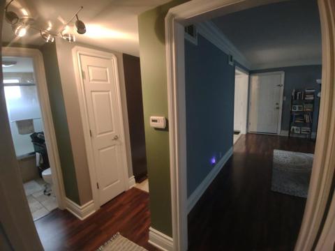 6834 W Lode Dr #2A, Worth, IL 60482 photo 13