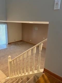 970 Borden Dr, Roselle, IL 60172 photo 14