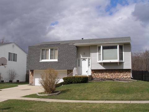 970 Borden Dr, Roselle, IL 60172 photo 2