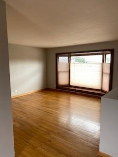 970 Borden Dr, Roselle, IL 60172 photo 5
