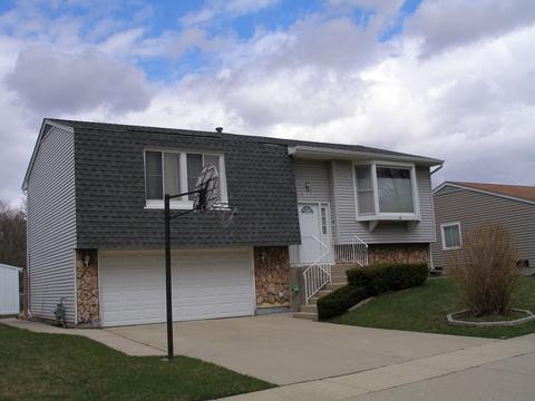 970 Borden Dr, Roselle, IL 60172 photo 1