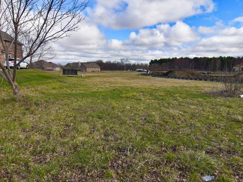25224 S Tuscany Dr E, Monee, IL 60449 photo 2