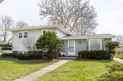 1385 Phoenix Dr, Des Plaines, IL 60018 photo 28