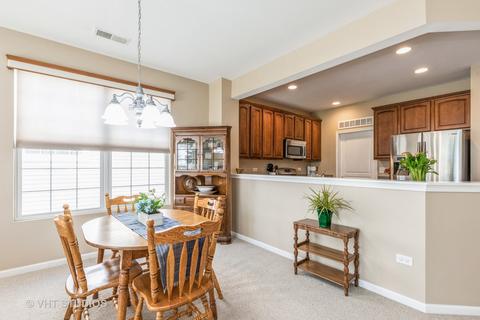 2859 Cascade Falls Cir, Elgin, IL 60124 photo 13