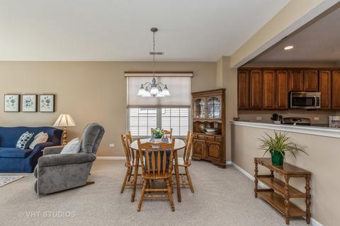 2859 Cascade Falls Cir, Elgin, IL 60124 photo 12