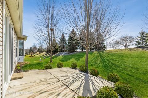2859 Cascade Falls Cir, Elgin, IL 60124 photo 31