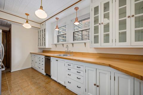 210 E Pearson St #9D, Chicago, IL 60611 photo 9