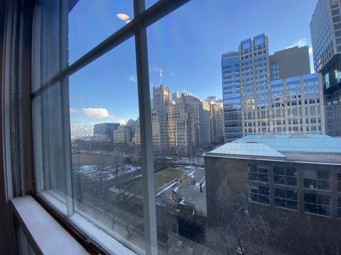 210 E Pearson St #9D, Chicago, IL 60611 photo 20
