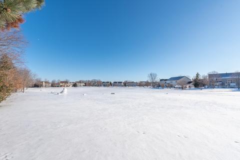 2217 Barrett Dr, Algonquin, IL 60102 photo 45