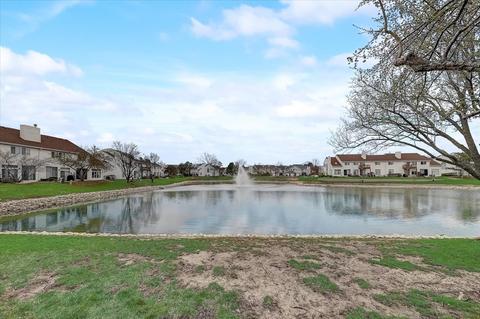 1010 Spring Ct, Darien, IL 60561 photo 21