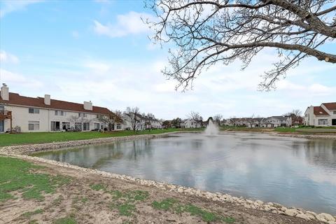 1010 Spring Ct, Darien, IL 60561 photo 22