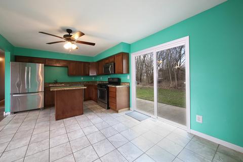 480 N Mitchell St, Braidwood, IL 60408 photo 8