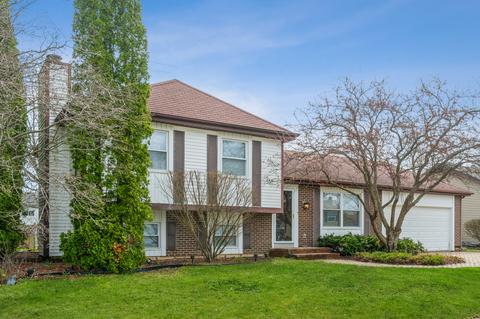 905 Molobay Ter, Bartlett, IL 60103 photo 1