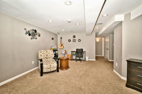 3004 Case Ct, Aurora, IL 60503 photo 53