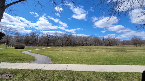 736 Scott Dr, Elgin, IL 60123 photo 28