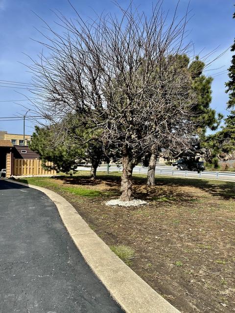 8000 W Memory Ln, Chicago, IL 60656 photo 34