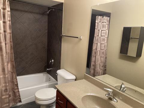 1274 Pendleton Dr, Lemont, IL 60439 photo 13
