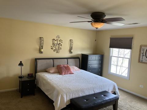 1274 Pendleton Dr, Lemont, IL 60439 photo 8