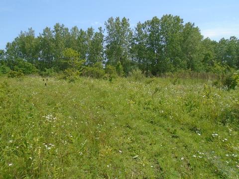 39275 N Dilleys Rd, Wadsworth, IL 60083