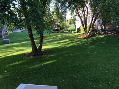 1827 Rizzi Ln, Bartlett, IL 60103 photo 30