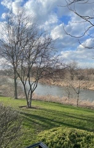 3352 Cameron Dr, Elgin, IL 60124 photo 21