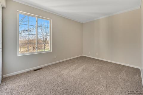 3352 Cameron Dr, Elgin, IL 60124 photo 18