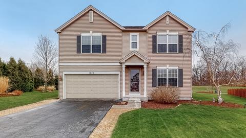 1226 Switchgrass Ct, Minooka, IL 60447 photo 1