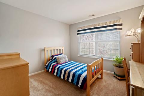 6070 Irene Dr, Hoffman Estates, IL 60192 photo 30