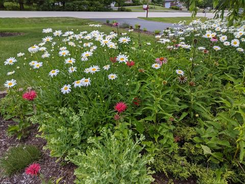 12357 Breezefield Cir, Roscoe, IL 61073 photo 62