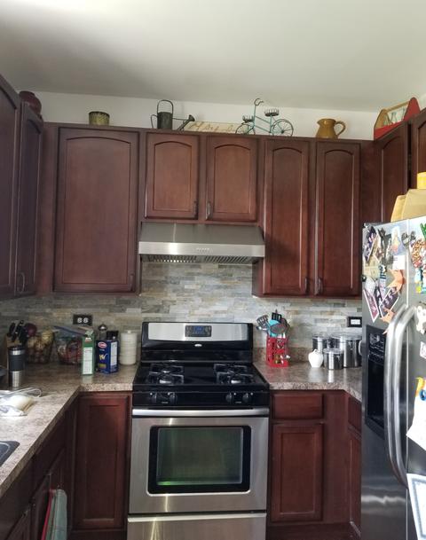 200 Middleton Ct, Elgin, IL 60124 photo 5