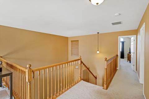 118 Durango Dr, Gilberts, IL 60136 photo 19