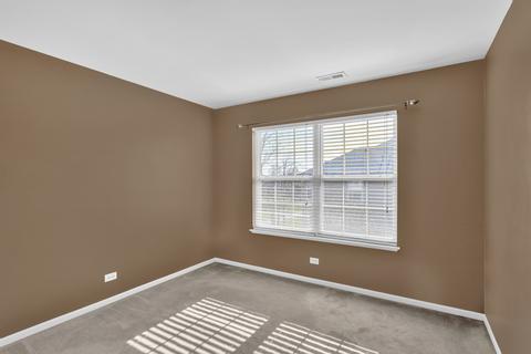 118 Durango Dr, Gilberts, IL 60136 photo 25