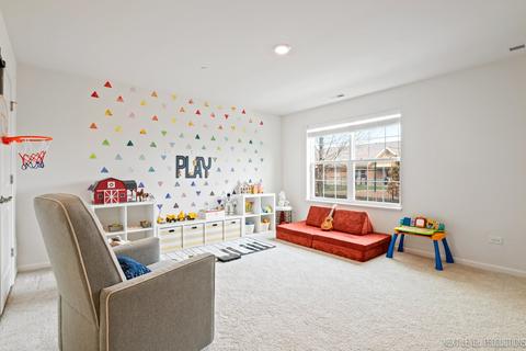 2941 Reflection Dr, Naperville, IL 60540 photo 30