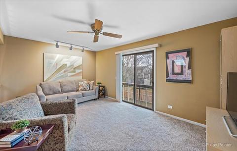 4475 Capstan Dr, Hoffman Estates, IL 60192 photo 13