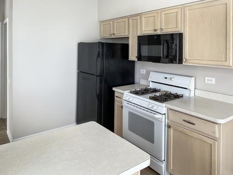 1713 Spaulding Rd, Bartlett, IL 60103 photo 10