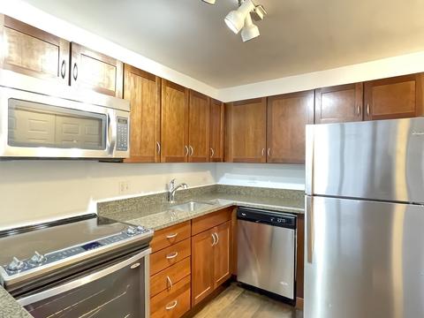 222 E Pearson St #903, Chicago, IL 60611 photo 4