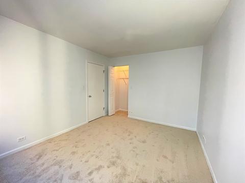 222 E Pearson St #903, Chicago, IL 60611 photo 7