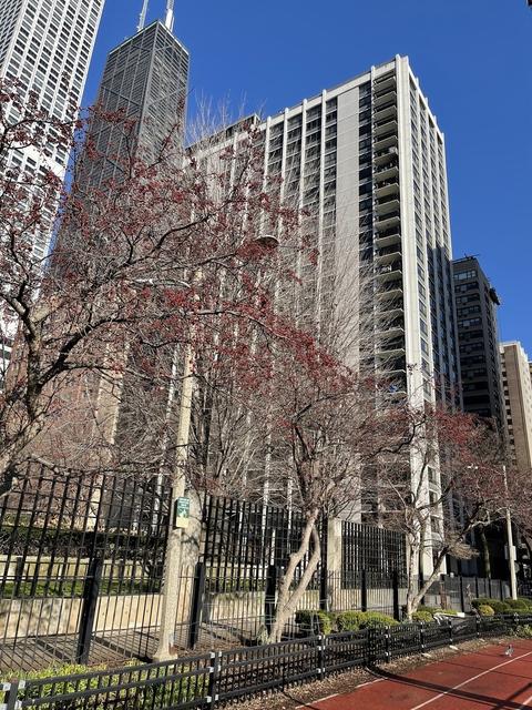 222 E Pearson St #903, Chicago, IL 60611 photo 2