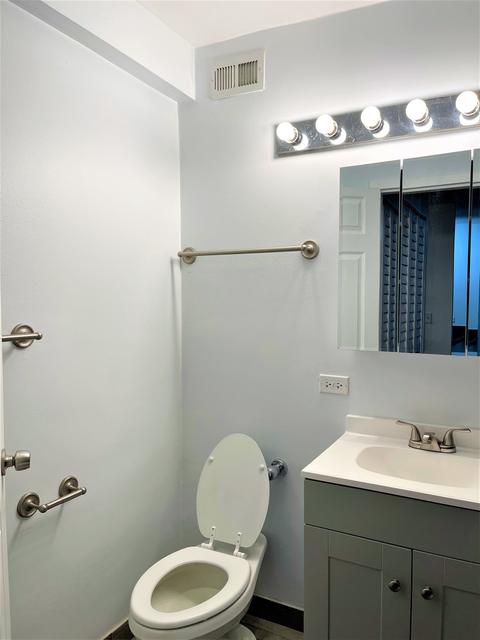 222 E Pearson St #903, Chicago, IL 60611 photo 9