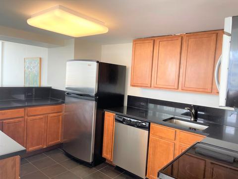 222 E Pearson St #903, Chicago, IL 60611 photo 22