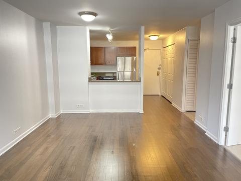 222 E Pearson St #903, Chicago, IL 60611 photo 5