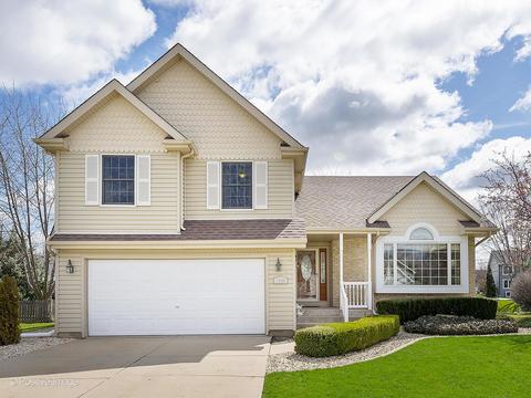 1700 Chestnut Hill Rd, Plainfield, IL 60586 photo 1