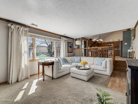 1700 Chestnut Hill Rd, Plainfield, IL 60586 photo 8