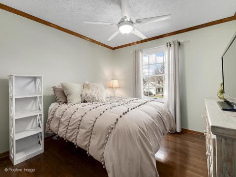 1700 Chestnut Hill Rd, Plainfield, IL 60586 photo 14