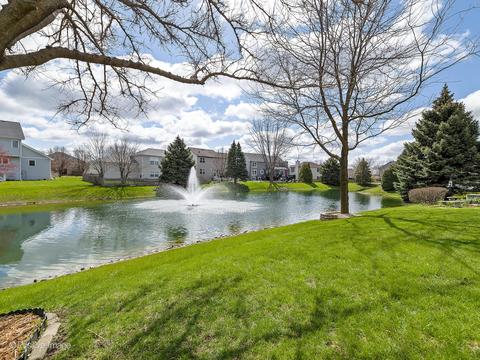 1700 Chestnut Hill Rd, Plainfield, IL 60586 photo 21